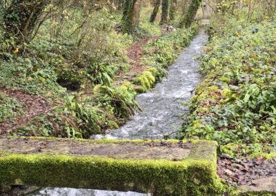 Ruisseau de Touillon