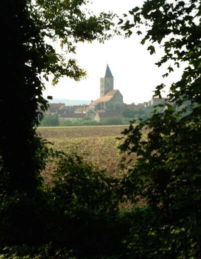 Vue sur l'église de Rougemont